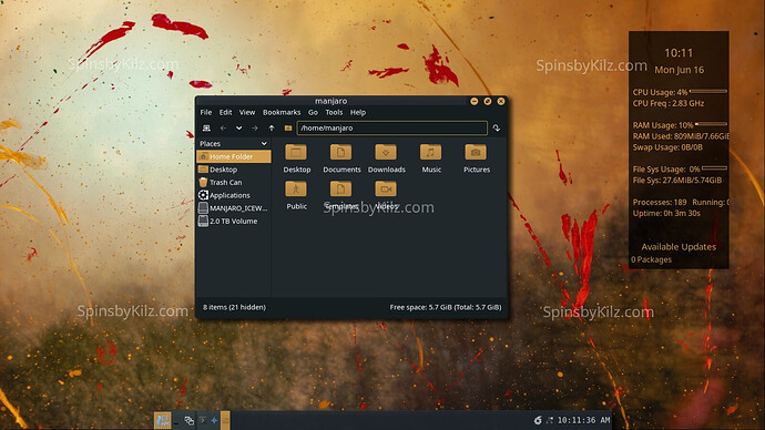 SbK_Manjaro_IceWM_625-B
