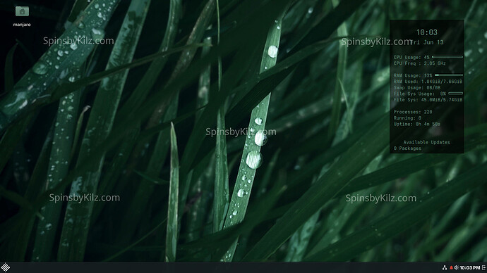 SbK_Manjaro_Budgie_625-A