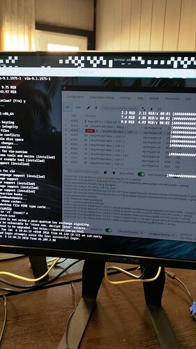 photo_5974137262511426315_y