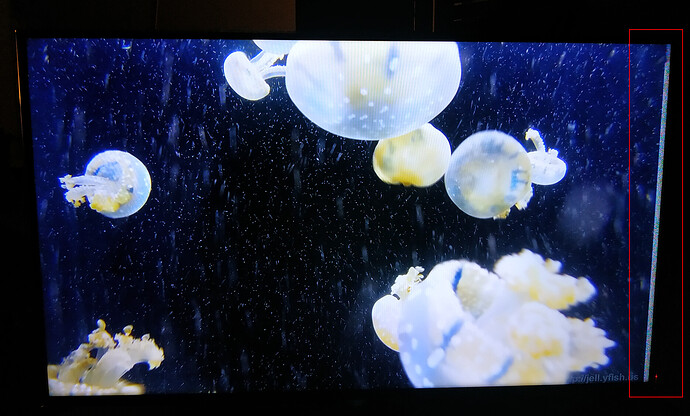 jellyfish_artefact