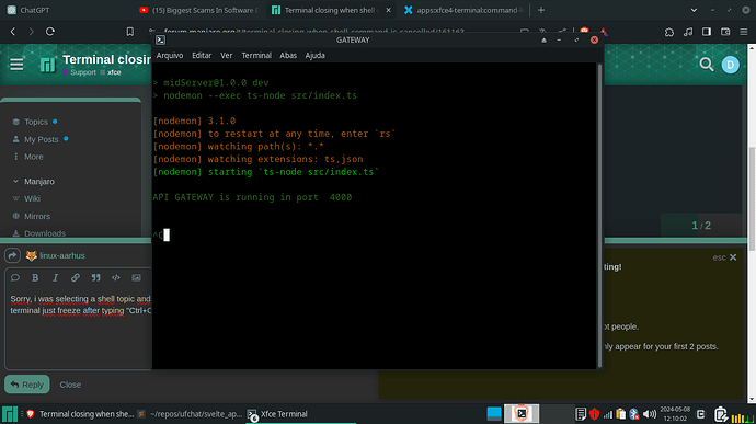 Terminal closing when shell command is cancelled - Support - Manjaro ...