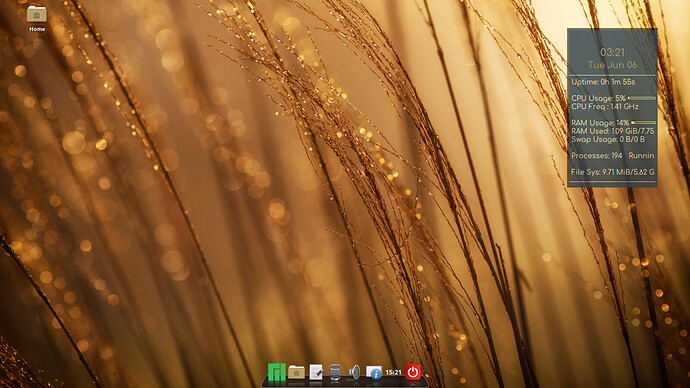 SbK Cinnamon 21.0.5 dock