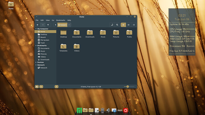 SbK Cinnamon 21.0.5 dock 2