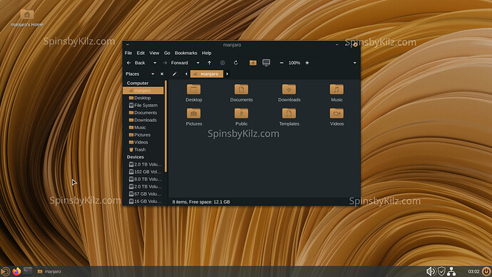 SbK_Manjaro_Talking-Mate_1225-B