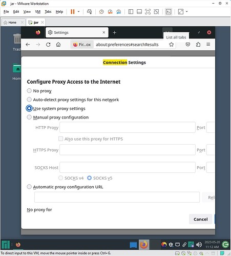 manjaro firefox proxy