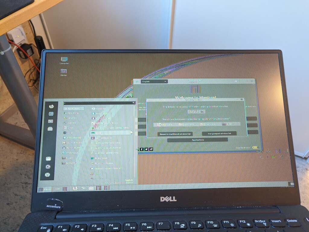 Vertical purple lines on screen cinnamon Graphics & Display Manjaro