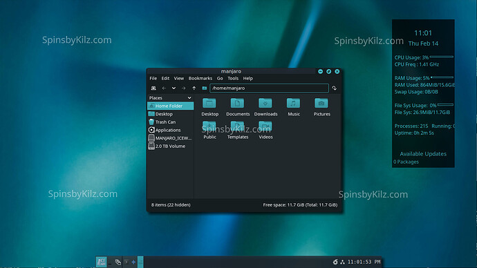 SbK_Manjaro_IceWM_226-B