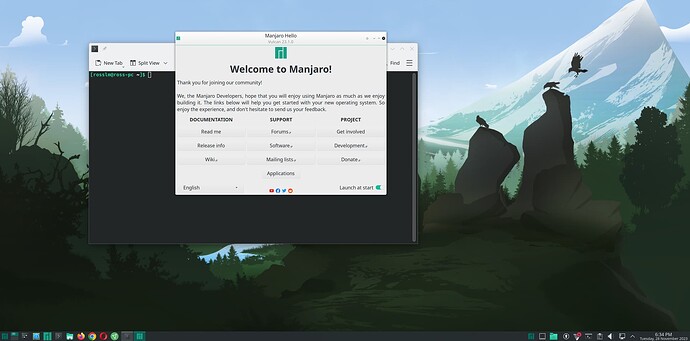 ManjaroLinux-2023-11-28-18-34-27