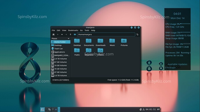 SbK_Manjaro_IceWM_1225-B