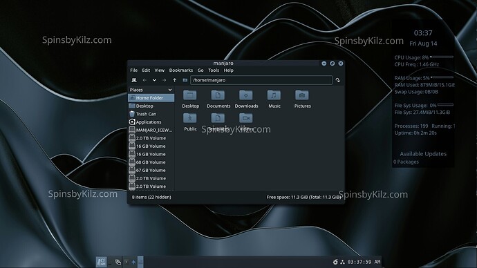 SbK_Manjaro_IceWM_824-B