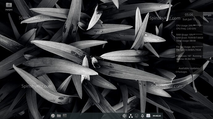 SbK_Manjaro_LXQt_625-A