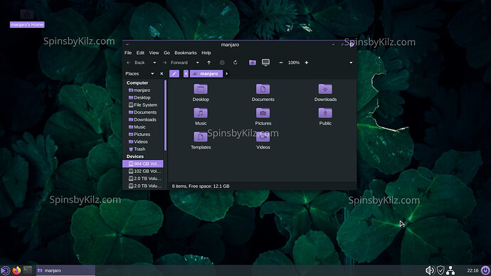 SbK_Manjaro_Talking-Mate_824-B