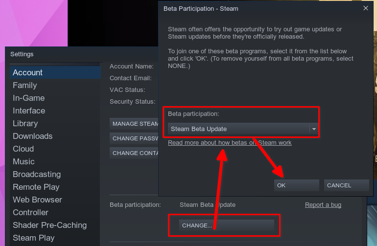 How to enable the Steam beta client