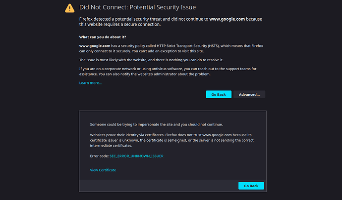 Firefox "Did Not Connect: Potential Security Issue" page