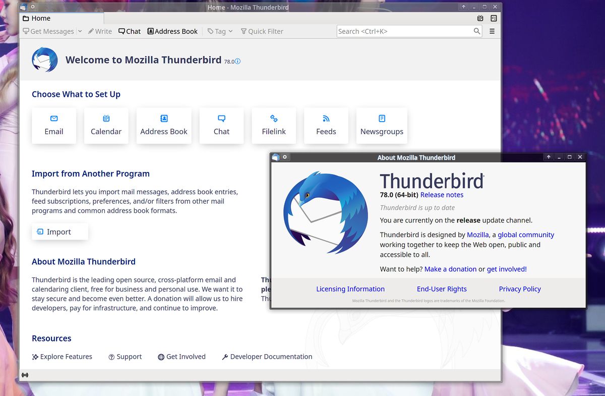 thunderbird email disappeared